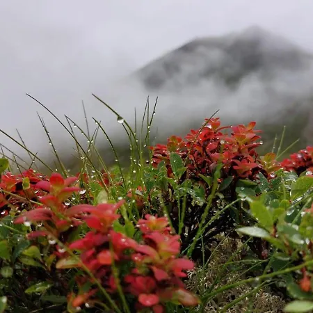 Διαμέρισμα Simone