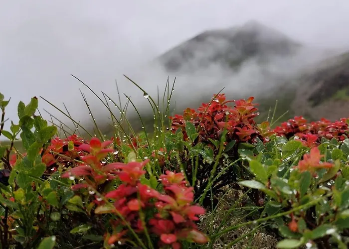 Διαμέρισμα Simone